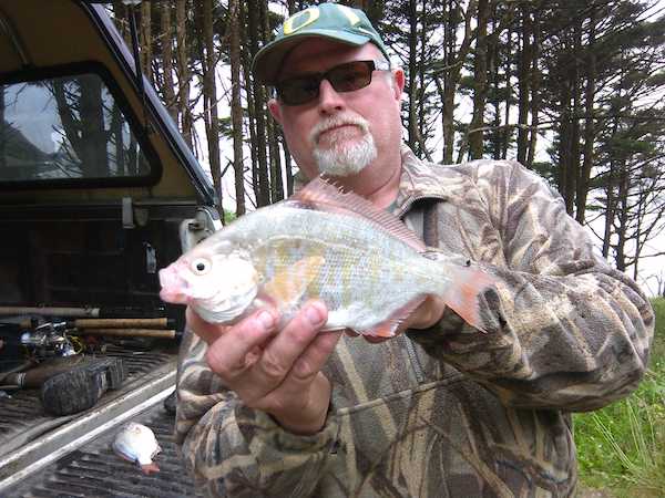 Walleye, Sturgeon, and Surf Perch Trip