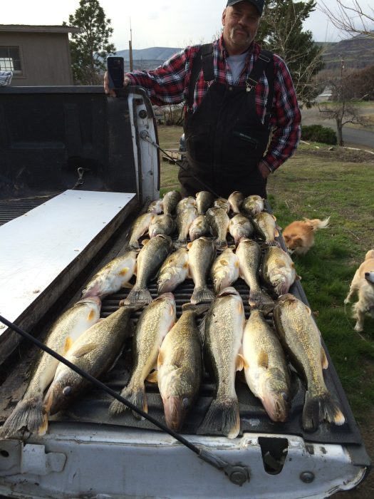 Gw8