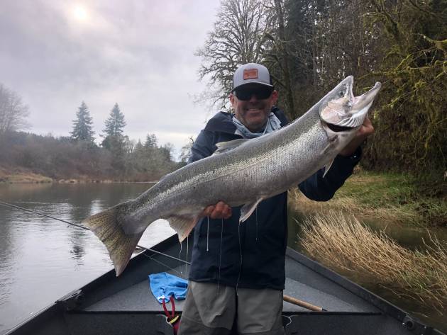 Homesteelhead