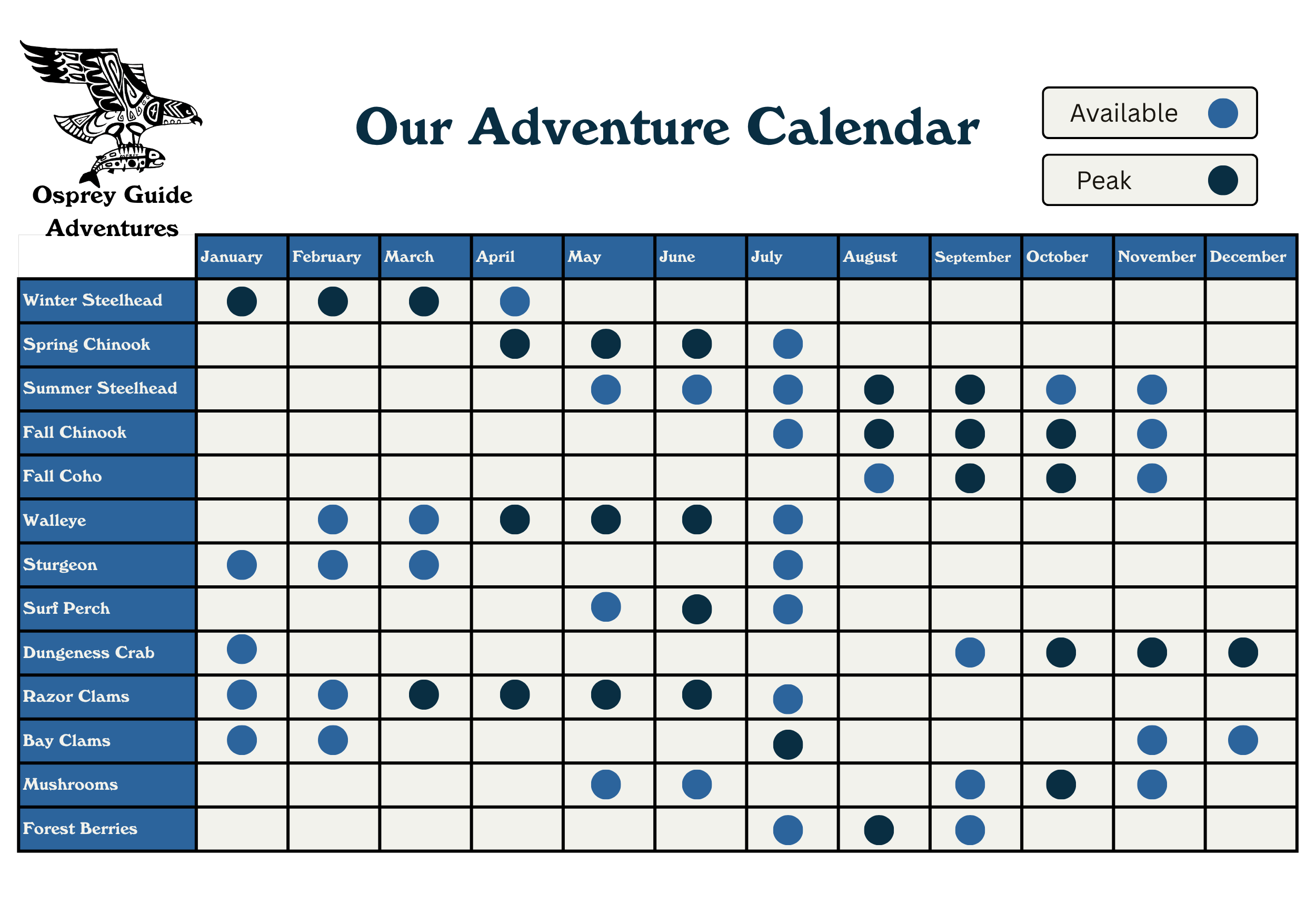 Winter Steelhead New